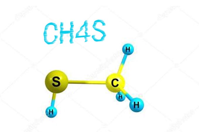 甲硫醇分子式 甲硫醇分子式